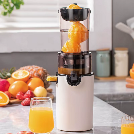 Punkt Slow Juicer 200W