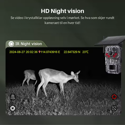 Witsectech 4G LTE viltkamera med solcellepanel