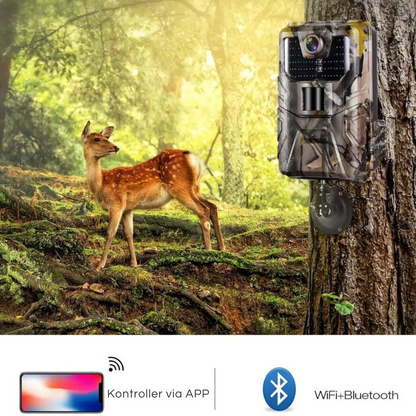 Suntek WIFI900PRO 4K viltkamera