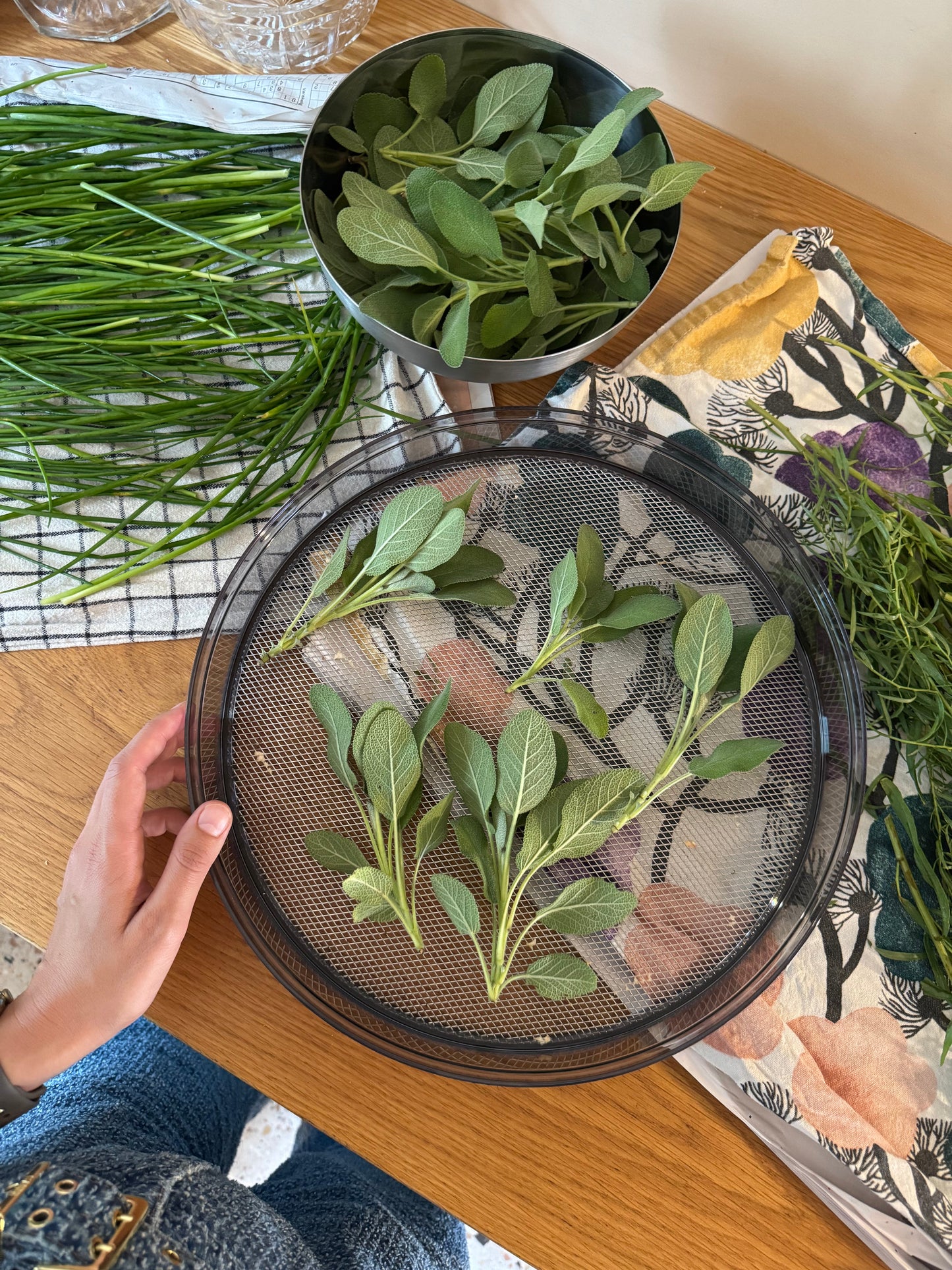 Stöckli Dörrex dehydrator