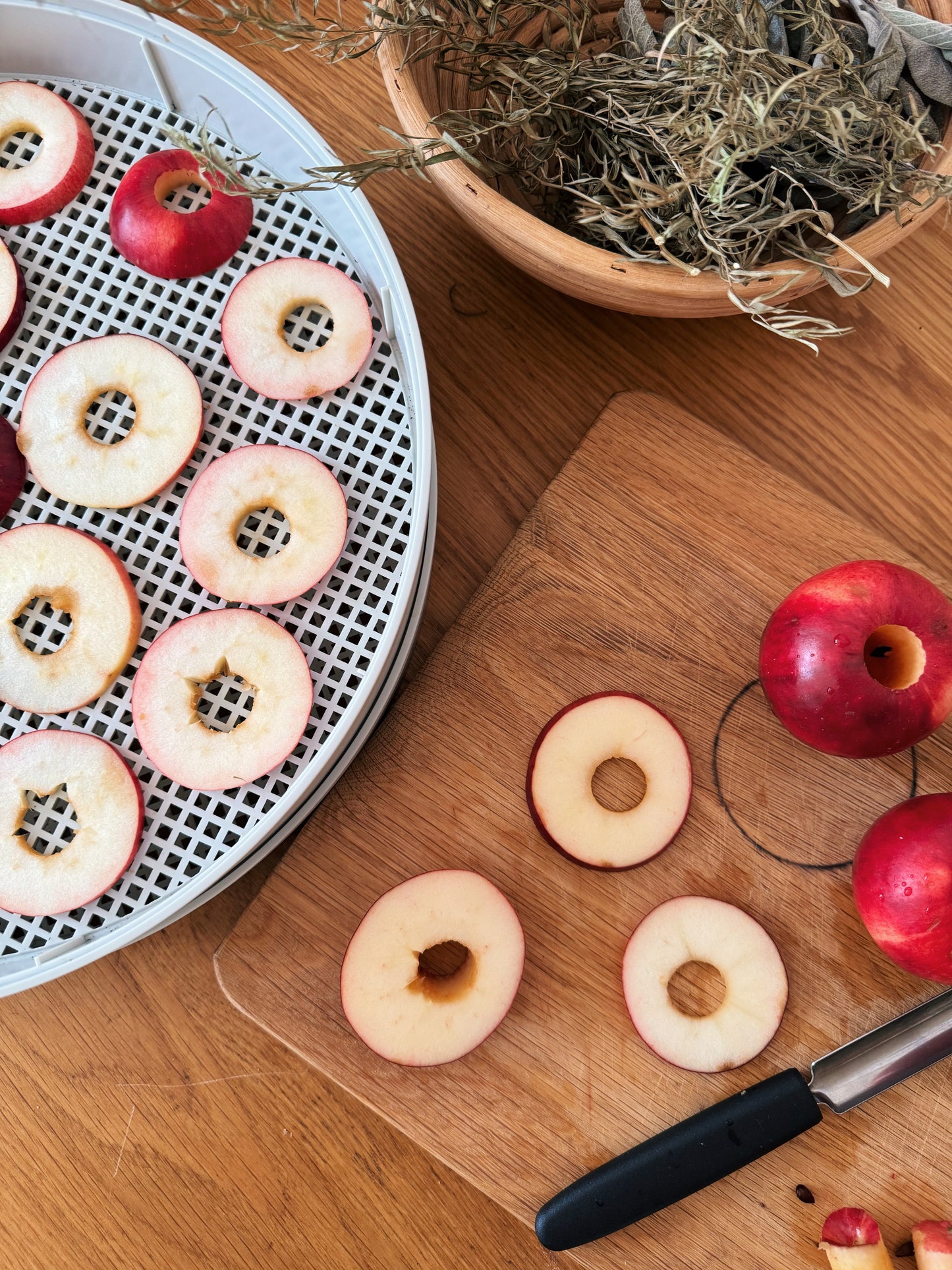 Stöckli Dörrex dehydrator